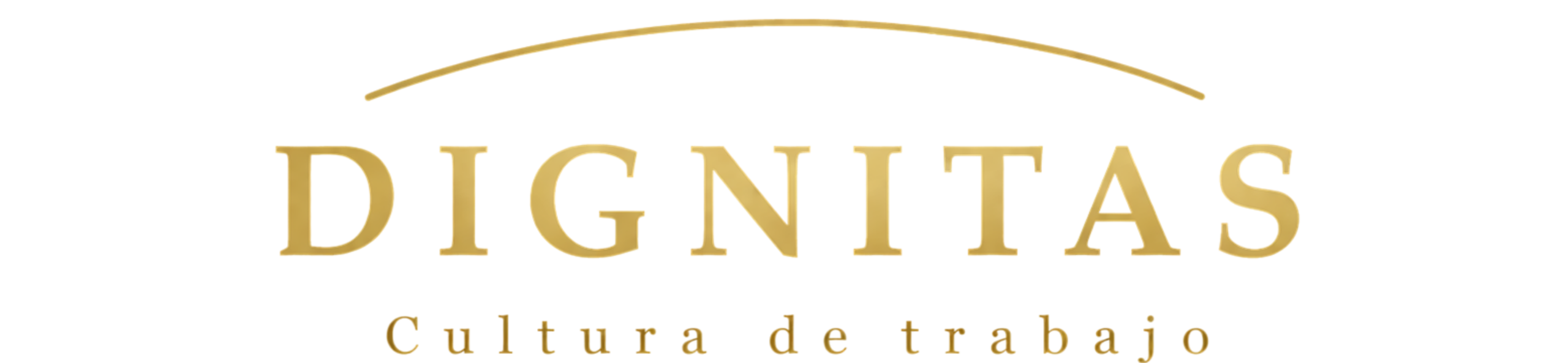 Dignitas Logo transparente